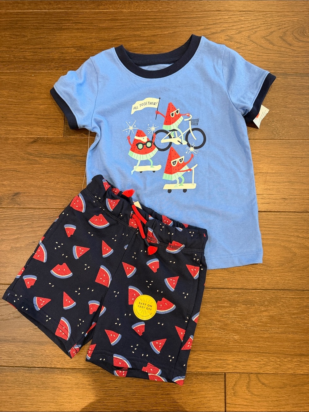 Cat & Jack Blue and Navy Watermelon Short Set NWT Size 2T - C8